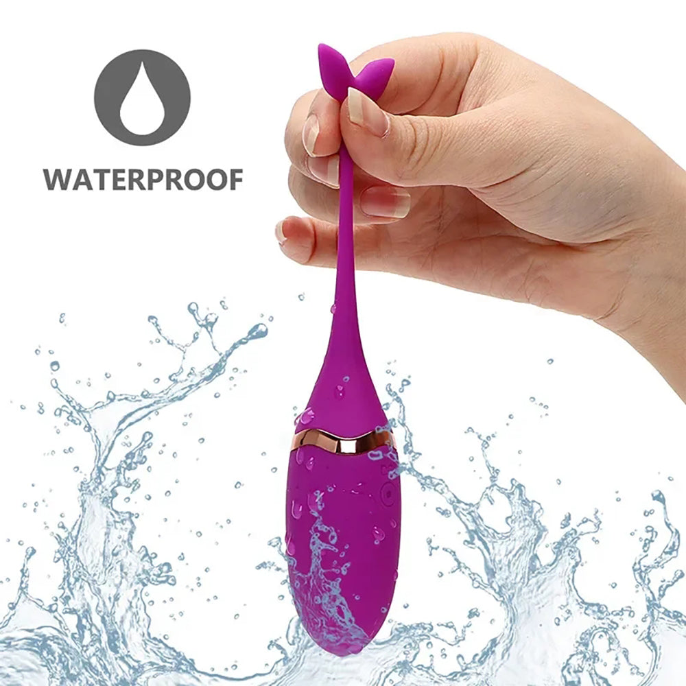 Ballena Con Control/Recargable