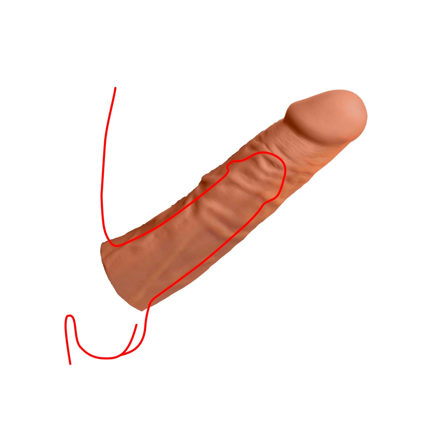 Funda Realista L/Para Pene-16Cm