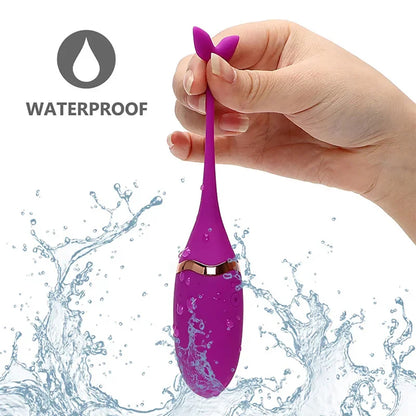 Ballena Con Control/Recargable
